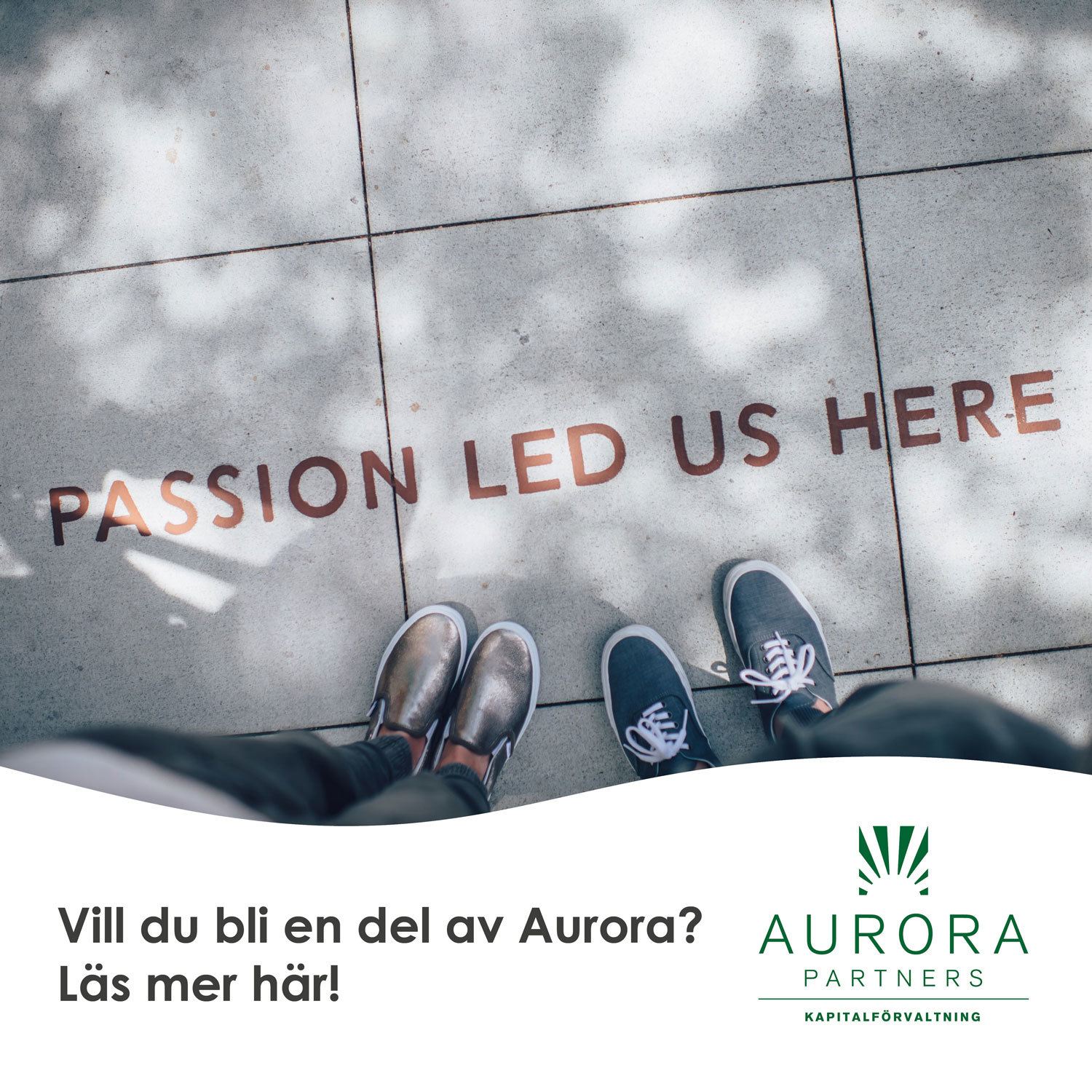 aurora_delagare