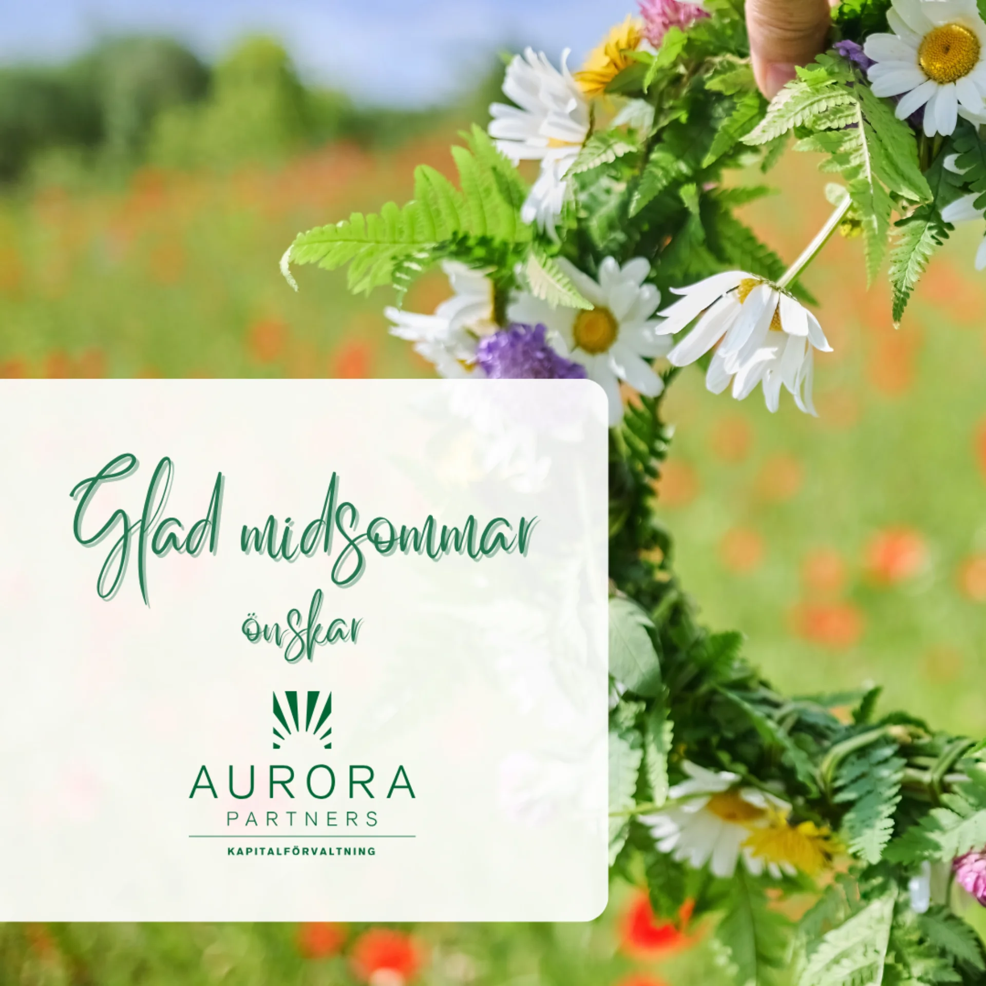 midsommar_aurorapartners